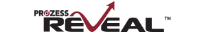 prozess reveal logo