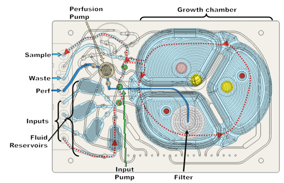 ERBI perfusion reactor diagram