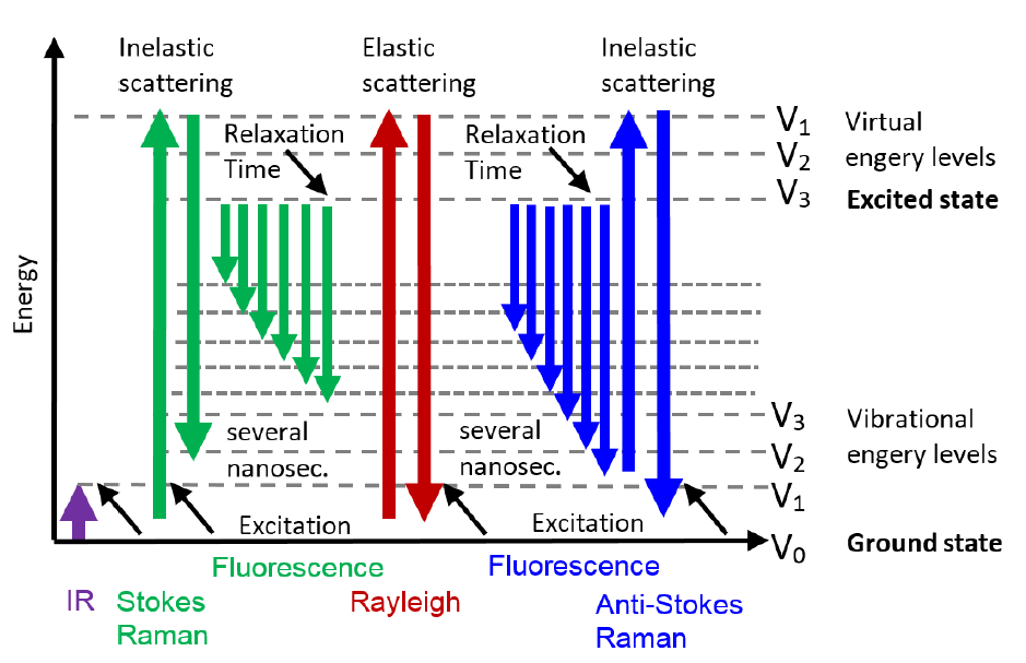 Figure 2: How do Raman and infrared (IR) spectroscopy differ
