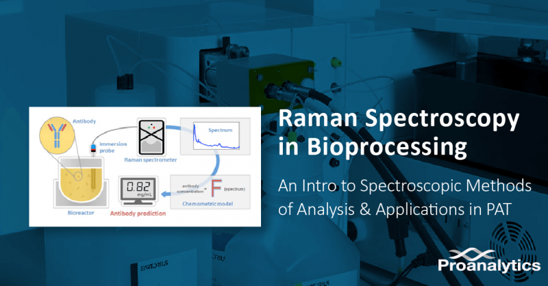 raman spectroscopy in bioprocessing