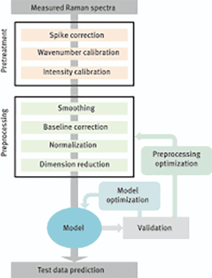 Figure 3: Raman spectroscopy data processing steps