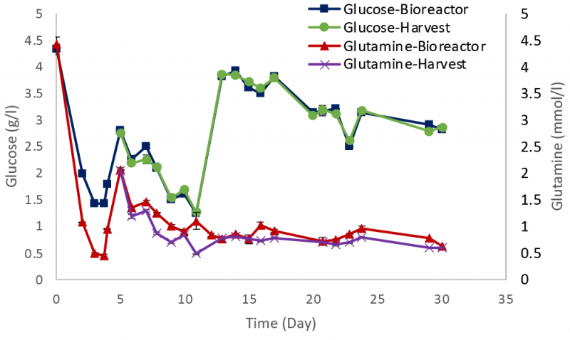 Figure 4: Glucose and glutamine profile during the bioreactor run