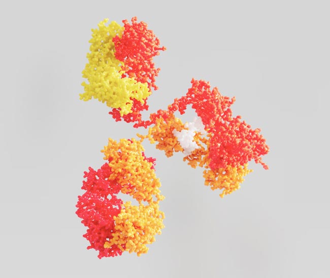 monoclonal antibodies